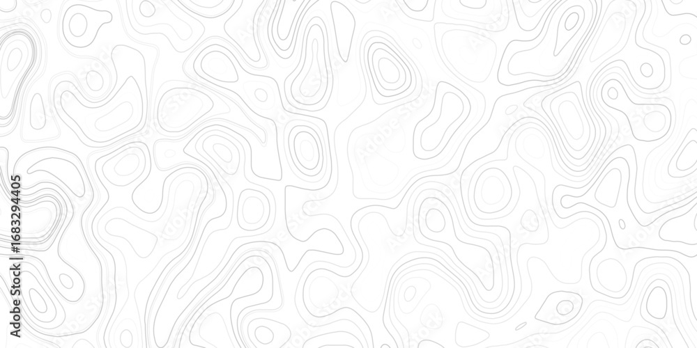 Poster topographic map with contour lines vector background
