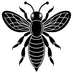 bee silhouette  with white background