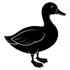 A duck silhouette with white background