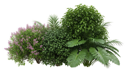 Isolated shrubs, green plants © Sergiu