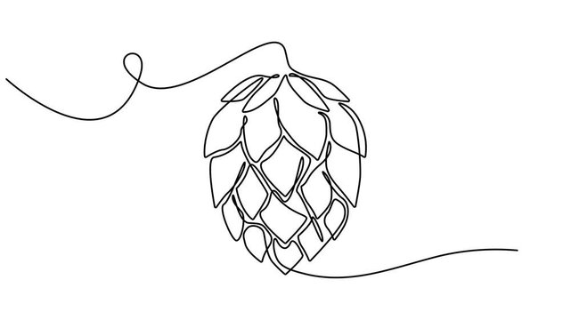 Hop herb and spikelet continuous one line drawing animation, Hop herb and spikelet animation continuous one line drawing, Essential restaurant bar icon hops concept thin line style - editable stroke