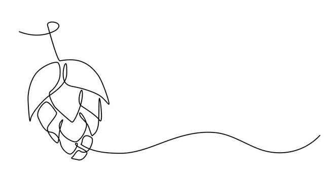 Hop herb and spikelet continuous one line drawing animation, Hop herb and spikelet animation continuous one line drawing, Essential restaurant bar icon hops concept thin line style - editable stroke