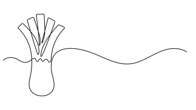 onion continuous one line drawing animation, Continuous line draw leek. Self drawing animation of single line draw of whole healthy freshness organic leek for plantation logo identity. Fresh