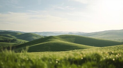 Naklejka premium panorama of hills