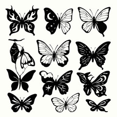 set of vector butterflies