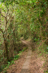 Paved hiking path to Praia do Saquinho in Florianopolis island, Brazil