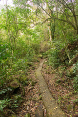 Paved hiking path to Praia do Saquinho in Florianopolis island, Brazil