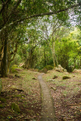 Paved hiking path to Praia do Saquinho in Florianopolis island, Brazil