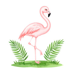 Obraz premium Elegant Pink Flamingo in Watercolor Style.