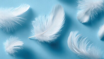 Light white feathers on a light blue background
