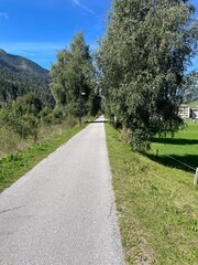 path in the park