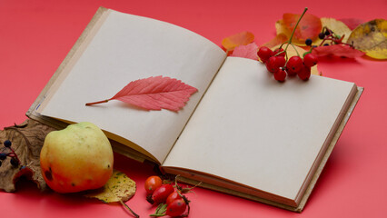 Ein offenes Buch mit leeren Seiten,, umgeben von Herbstlaub, Beeren, einem Apfel.