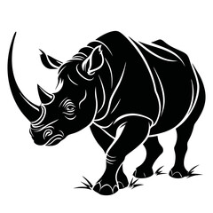 rhino on white background