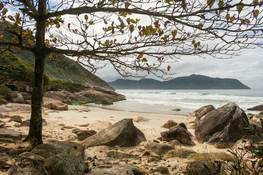 A view of Praia do Saquinho in Florianopolis island, Brazil