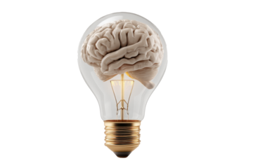 3d bulb with brain on white backround. originality ,ideas