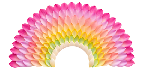 Peony petals arranged in a rainbow gradient arc shape transparent background