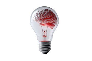 3d bulb with brain on white backround. originality ,ideas