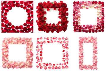 Six rose flower petal frame transparent background