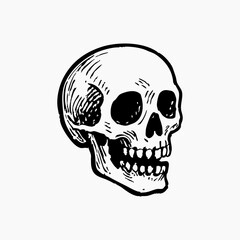 Hand Draw Halloween Collection - skull