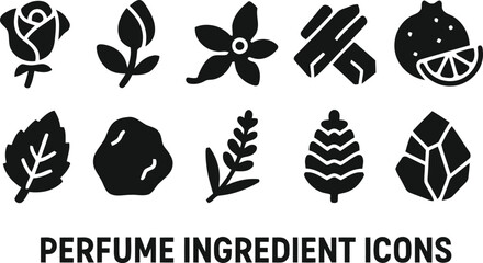 Collection of perfume ingredient icons representing natural fragrance components