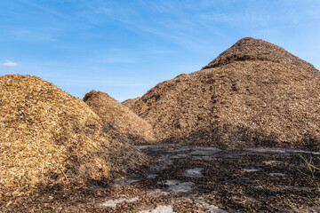 Large piles of wood chips and biomass for renewable energy and mulch production under blue sky in industrial storage area
