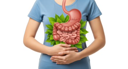Green Womans intestines Digestive with System gut system digestive Leaves. stomach Leaves