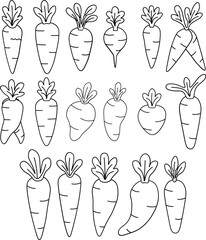 A collection of hand-drawn, black and white illustrations of various root vegetables, primarily carrots and turnips, with leafy green tops.
