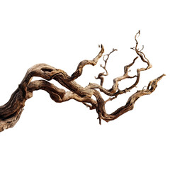 Intricate, gnarled branches of a dead tree.  Detailed, textured wood.  Dark background