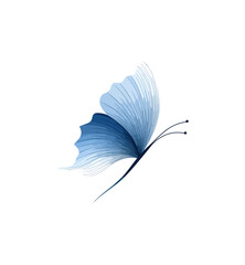 Elegant blue butterfly illustration