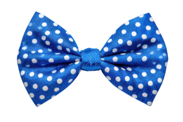 blue polka dot bow isolated on white