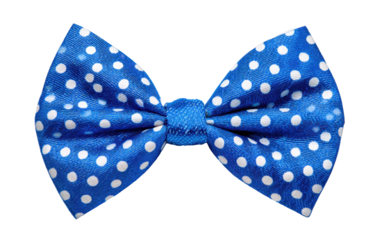 blue polka dot bow isolated on white