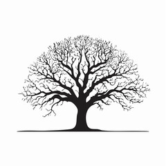 Obraz premium Oak tree silhouette no leaves. This image shows a detailed silhouette of an oak tree without leaves, emphasizing its stark and natural elegance. Vector clipart illustration design.