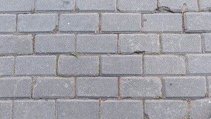 Gray brick pavement with rectangular pattern