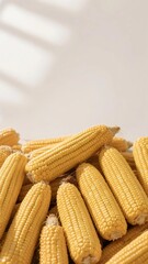 Golden corn on white background