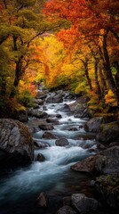 Obraz premium mountain river in autumn