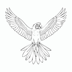 Obraz premium Flying parrot drawing. This black and white outline depicts a parrot or parakeet in dynamic flight with its wings spread, ideal for coloring. Vector sketch line art draw.