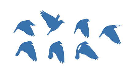 Obraz premium Graceful blue bird silhouettes soar and glide, capturing the freedom and beauty of flight in motion