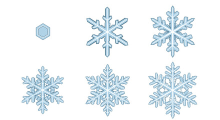 Stunningly detailed snowflake variations showcase intricate crystalline beauty for winter and science themes
