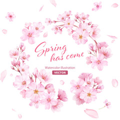 春の花：桜の水彩イラストで構成した円形装飾フレーム。花びらの背景。（ベクター）