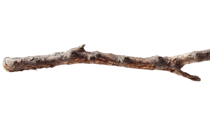 A single, weathered, long branch stretches horizontally.  Its surface displays varied textures and tones of gray-brown.  The ends are noticeably rough, with some small twigs