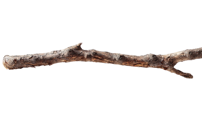 A single, weathered, long branch stretches horizontally.  Its surface displays varied textures and tones of gray-brown.  The ends are noticeably rough, with some small twigs