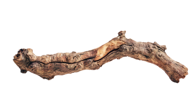 Driftwood branch,  curved and textured