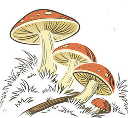 vector illustration of mushrooms