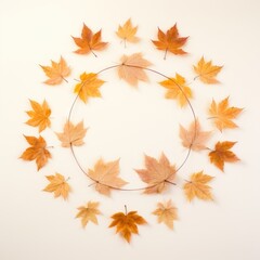Fototapeta premium PNG Real pressed maple leaves circle plant shape.