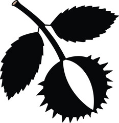 vector illustration of a black and white leaf