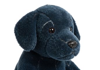 深みのある紺色のぬいぐるみ犬　柔らかな毛並みと優しい瞳