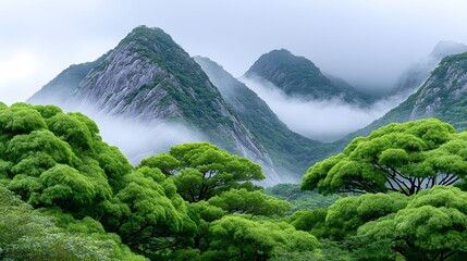 Lush Green Mountains with Fog and Serenity in a Scenic Landscape