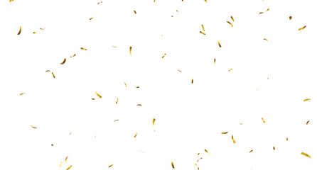 Falling isolated Gold Confetti. Glitter celebration PNG, Falling shiny gold confetti overlay on transparent background. 3d Rendering Transparent Confeti. Glossy golden festive tinsel. party, holiday, 