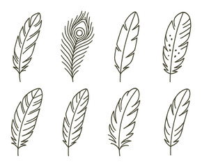 Elegant feather illustrations on gold background