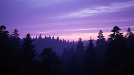 Fototapeta premium Silhouetted forest at twilight, purple hues